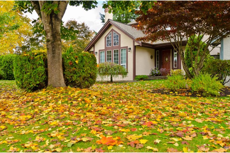 Preparing Your Home for Fall: Smart Mortgage Strategies for End-of-Summer Renovations and Improvements